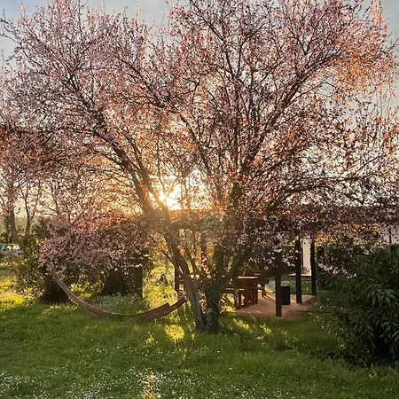 Appart hôtel Nonna Vittoria 3*