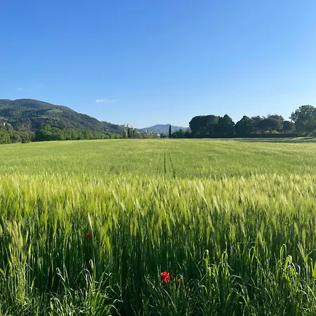 Appart hôtel Nonna Vittoria